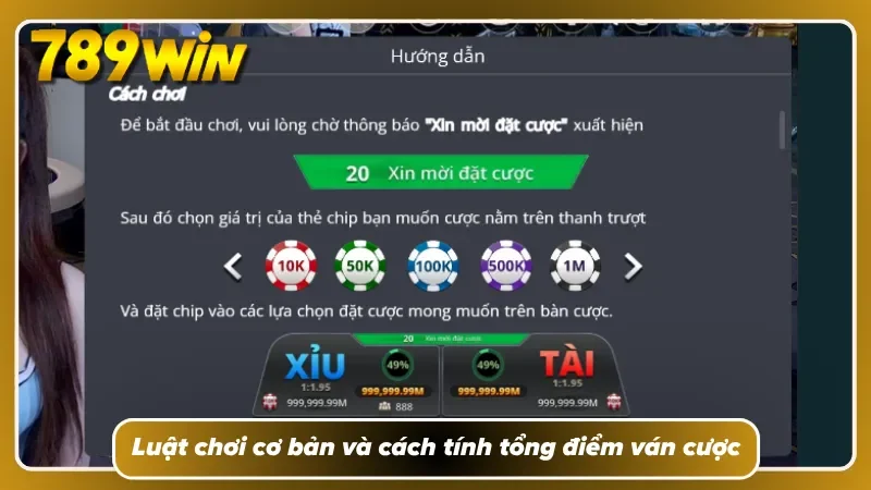 Luật chơi cơ bản và cách tính tổng điểm ván cược