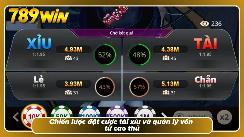Chiến lược đặt cược tài xỉu và quản lý vốn từ cao thủ