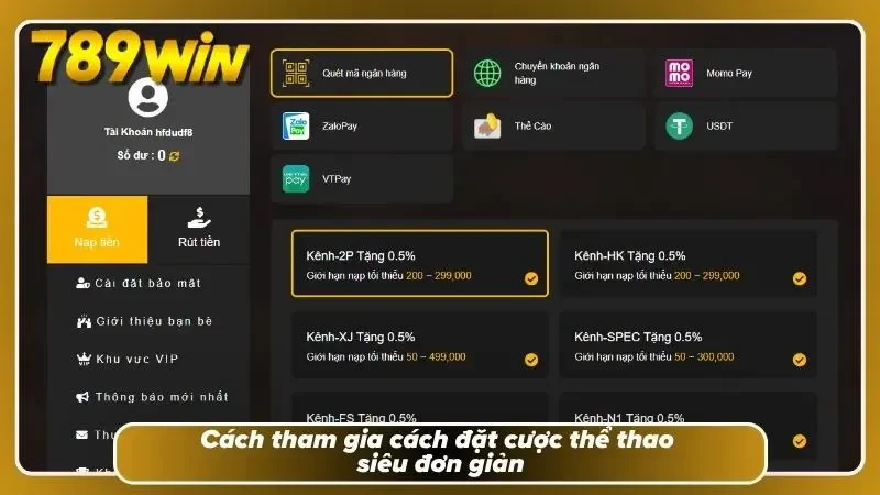Trang chủ hướng dẫn vào game chơi cá cược đơn giản